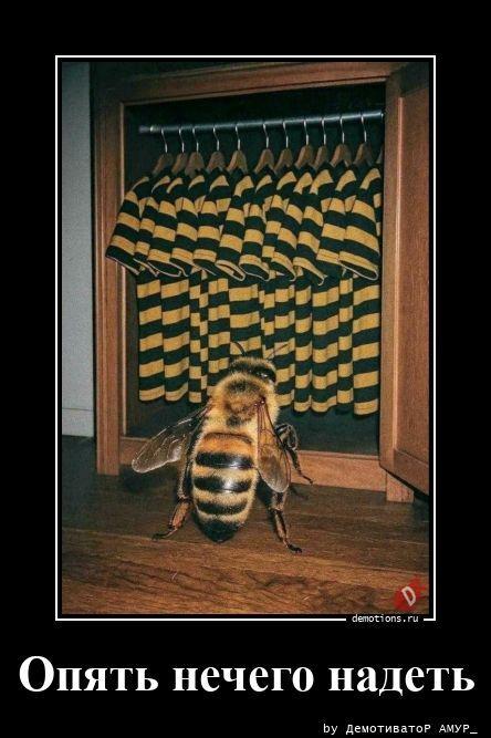 ������������ �������� (20 ����)