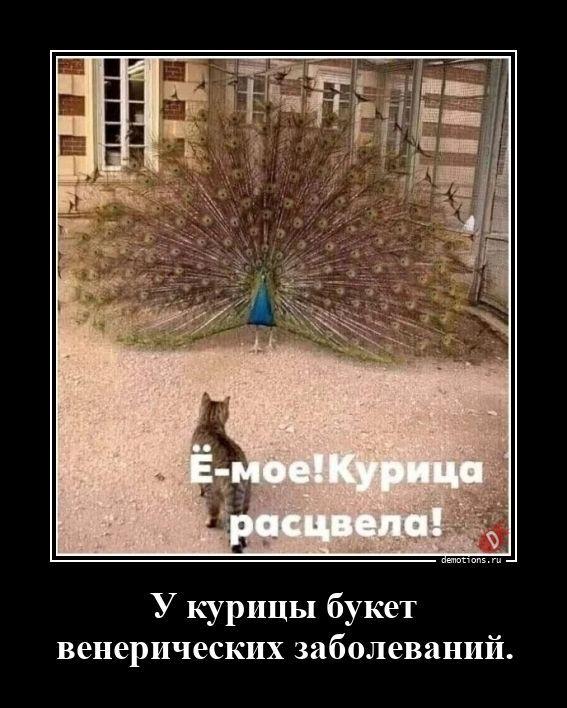 ������������ �������� (20 ����)