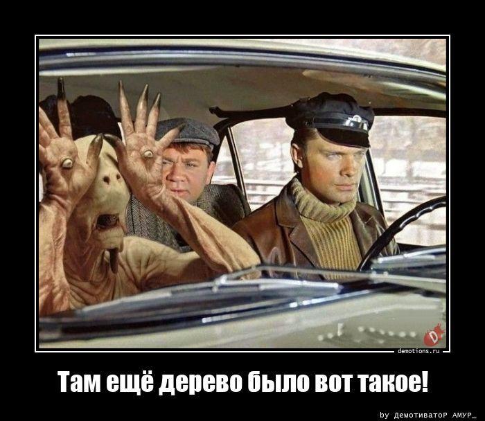 ������������ �������� (20 ����)