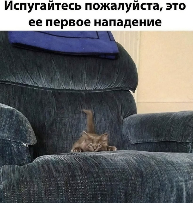 ������� �������� ��� ���������� (26 ����)