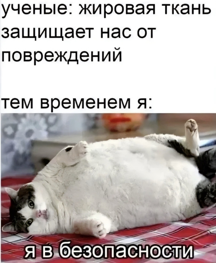 ���� � ������� ��� ������� ���������� (35 ����)