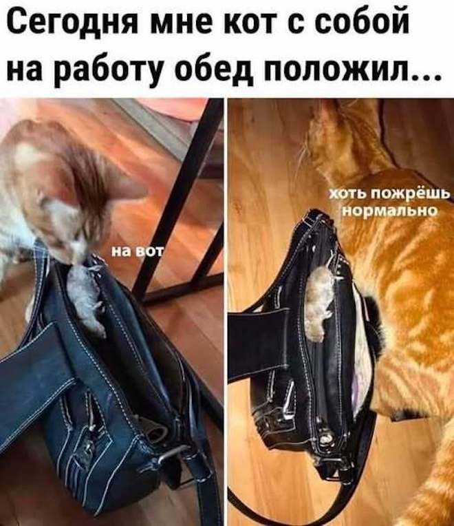 �������� ����� � �������� ��� ��������� ���������� (20 ����)