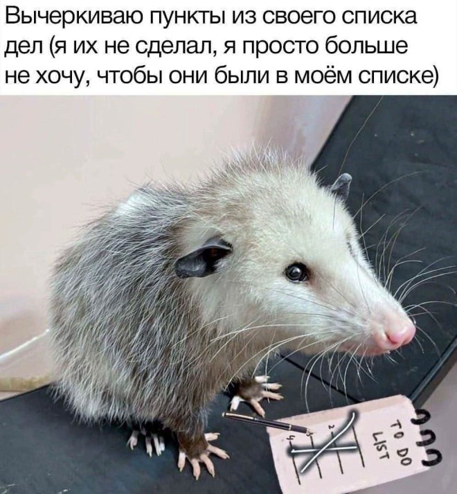�������� ����� � �������� ��� ��������� ���������� (20 ����)