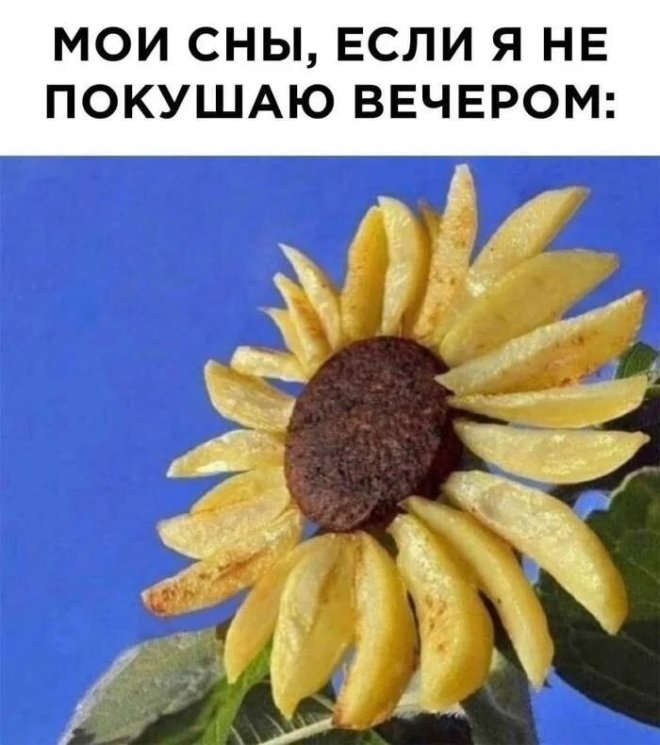 �������� ����� � �������� ��� ��������� ���������� (20 ����)