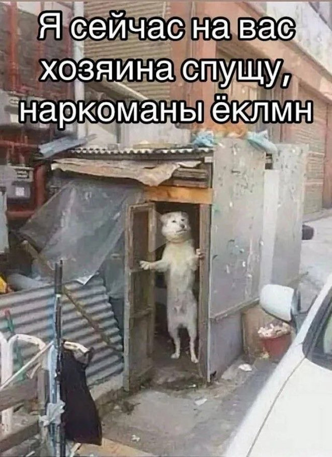 �������� ����� � �������� ��� ��������� ���������� (20 ����)