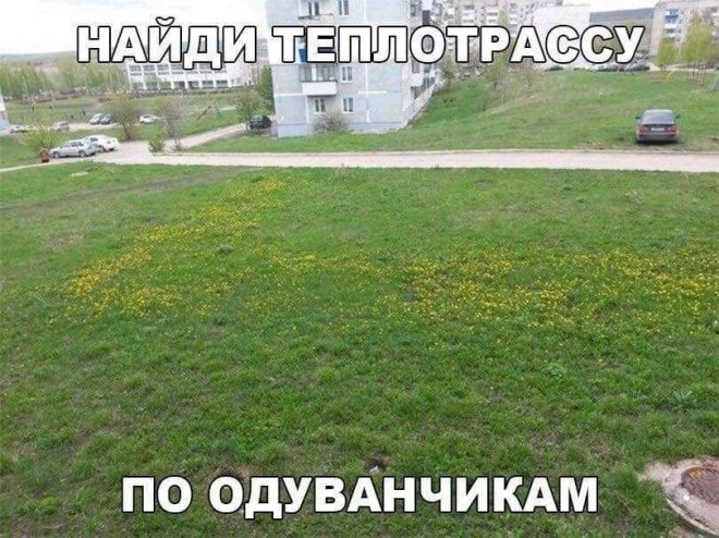 �������� ����� � �������� ��� ��������� ���������� (20 ����)