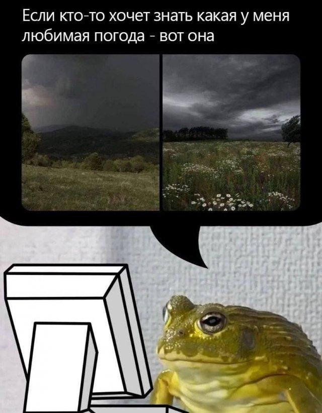 ���������! �������� ����� � �������� (15 ����)