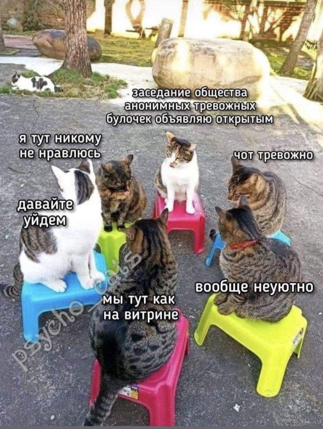 ���������! �������� ����� � �������� (15 ����)
