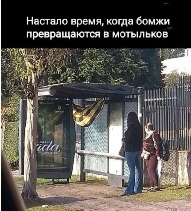 ���������! �������� ����� � �������� (15 ����)