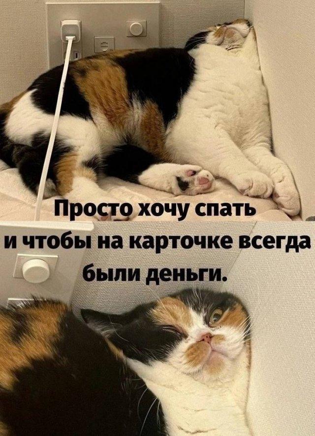���������! �������� ����� � �������� (15 ����)
