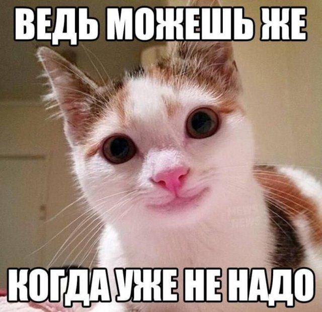 ���������! �������� ����� � �������� (15 ����)