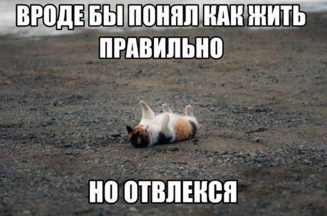 ���������! �������� ����� � �������� (15 ����)