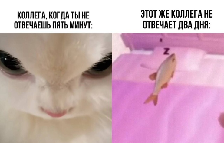 ������ �������� �������� �� ���� (28 ����)