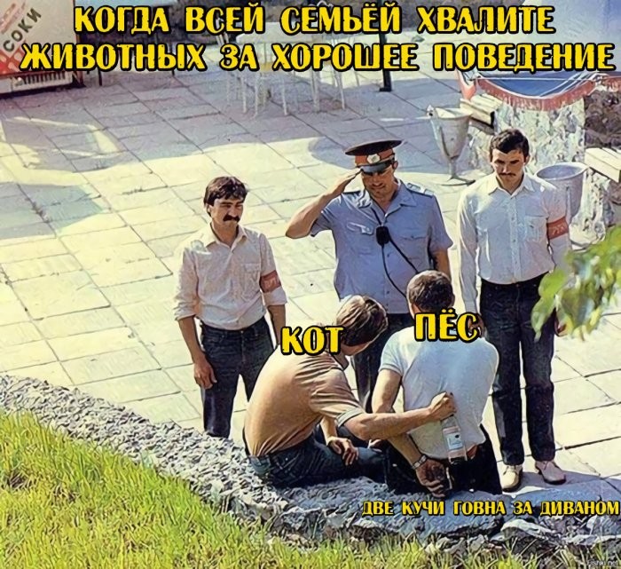 ������ �������� �������� �� ���� (28 ����)