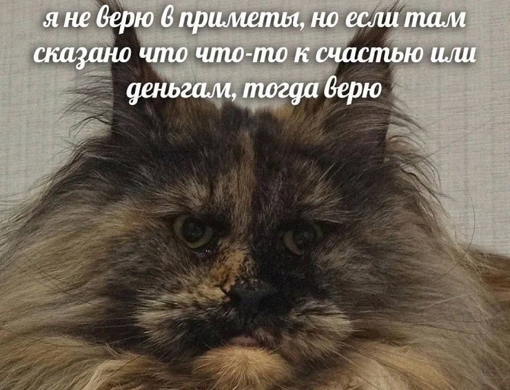 ������ �������� �������� �� ���� (28 ����)