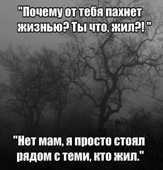 ������ �������� �������� �� ���� (28 ����)