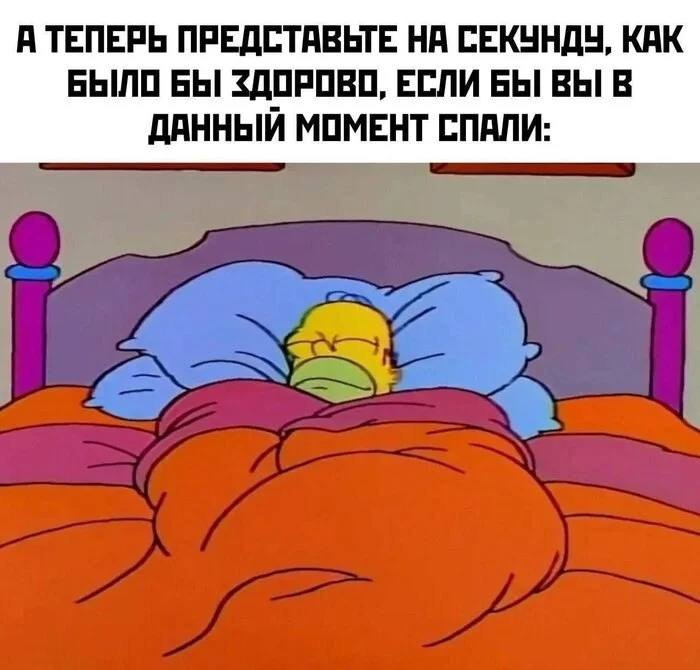 ������ �������� �������� �� ���� (28 ����)