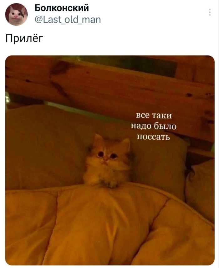 ������ �������� �������� �� ���� (28 ����)
