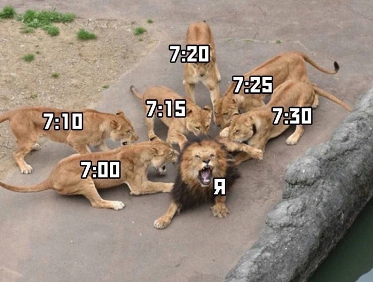 ������ �������� �������� �� ���� (28 ����)