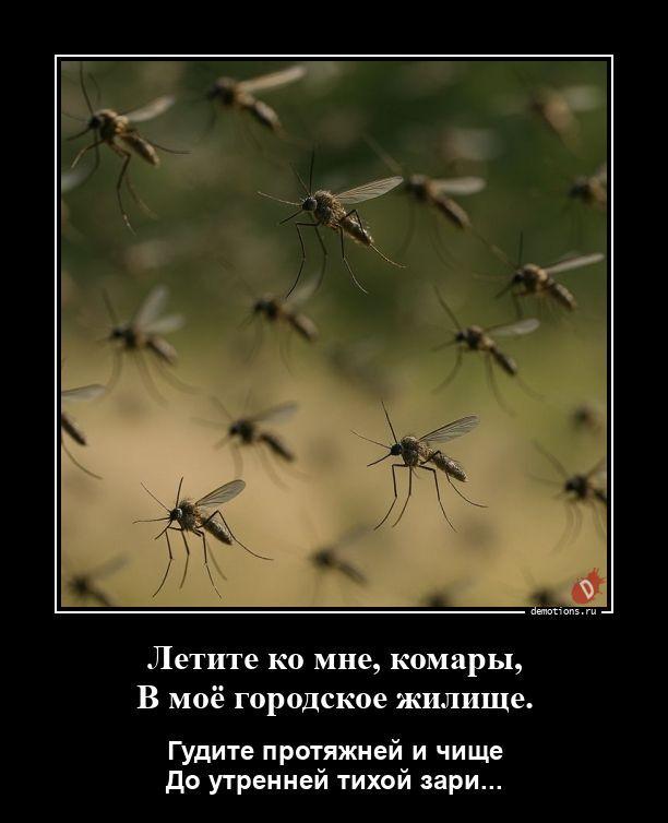 ������������ �������� (20 ����)