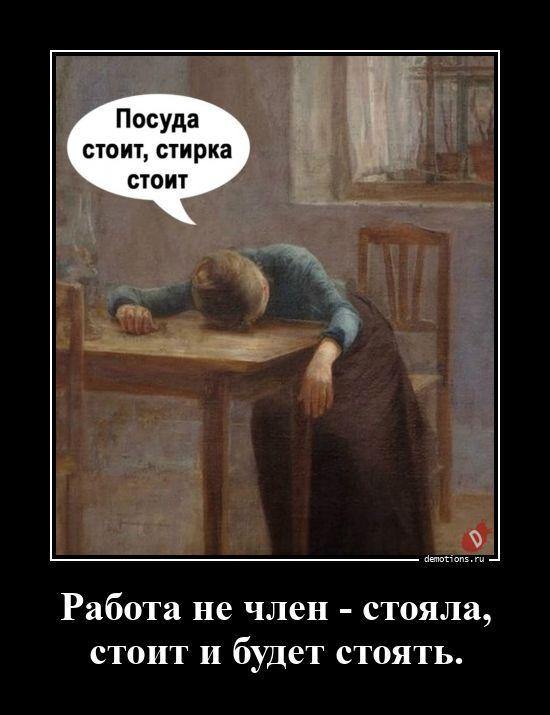 ������������ �������� (20 ����)