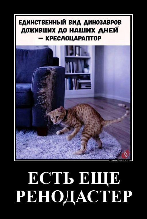������������ �������� (20 ����)
