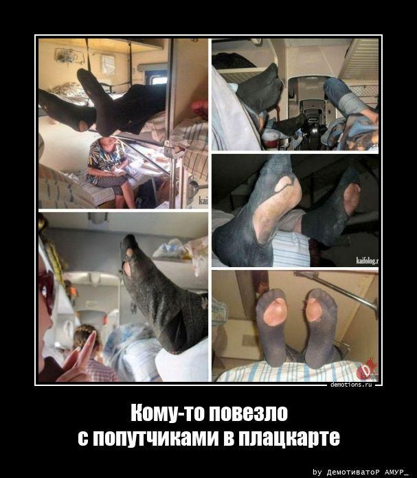 ������������ �������� (20 ����)