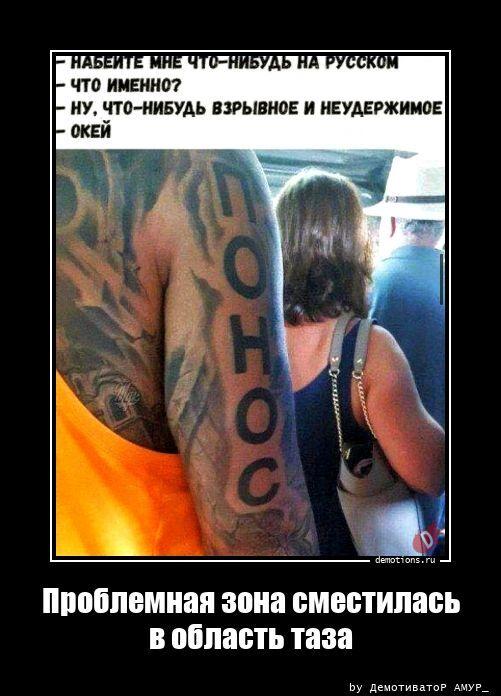 ������������ �������� (20 ����)