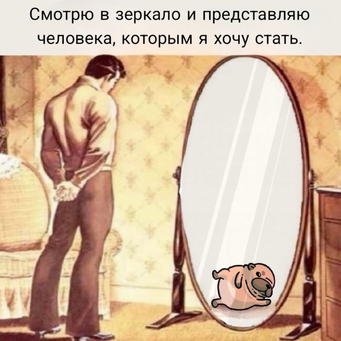 ���� � ������� ��� ���������� (35 ����)