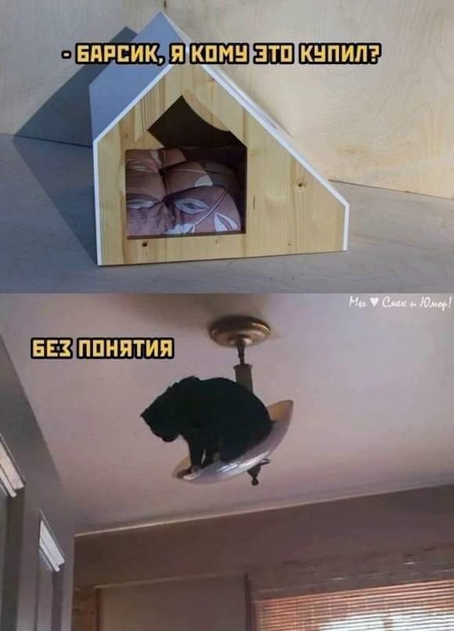 ������� ������ ����� � �������� �� ���� (32 ����)