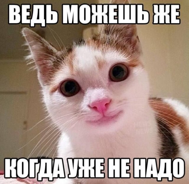 ������� ������ ����� � �������� �� ���� (32 ����)