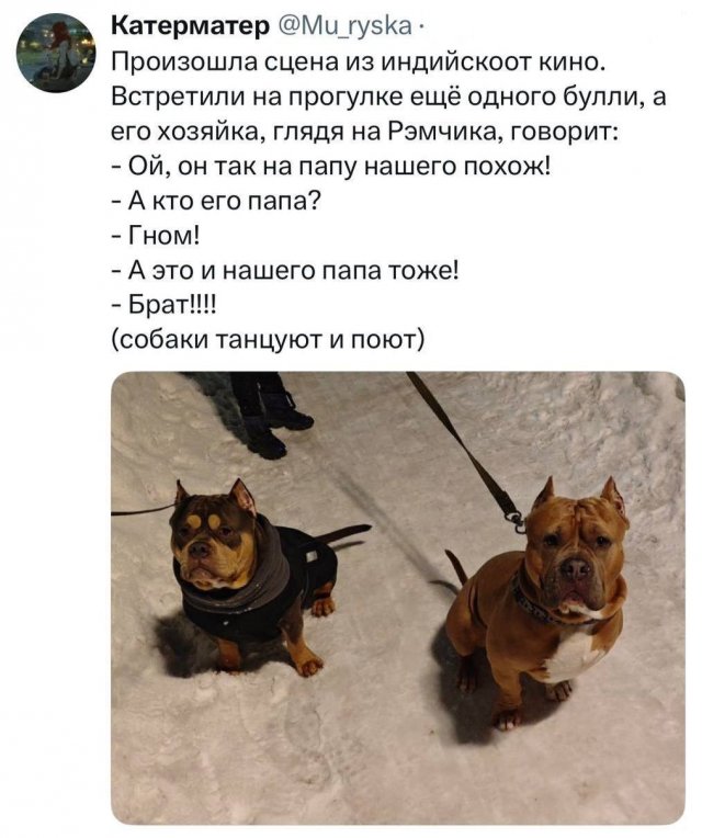 ������� ������ ����� � �������� �� ���� (32 ����)