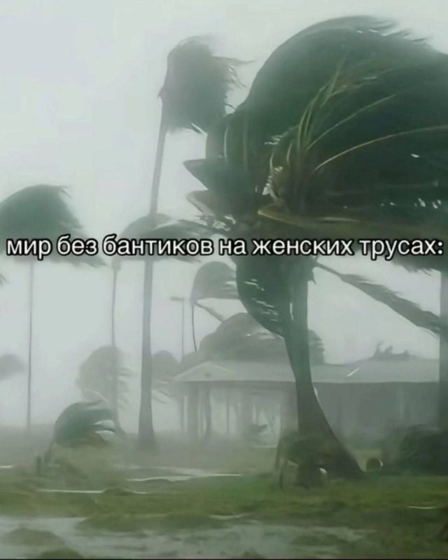������� ������ ����� � �������� �� ���� (32 ����)