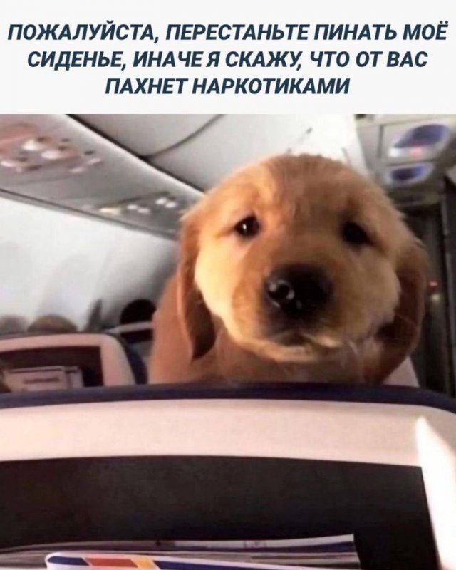������� ������ ����� � �������� �� ���� (32 ����)