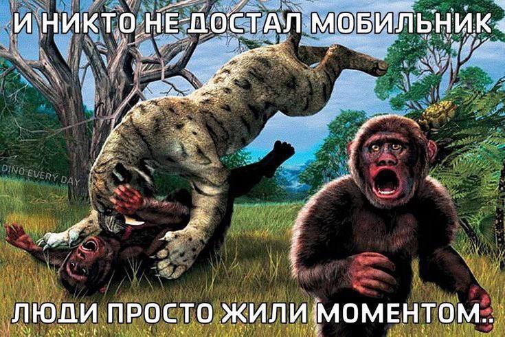 �������� �������� � ����� �� ���� (32 ����)