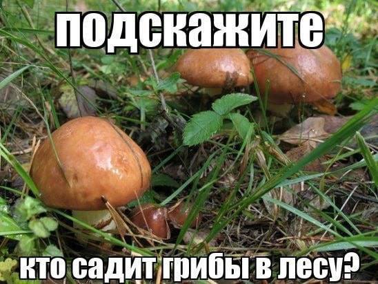�������� �������� � ����� �� ���� (32 ����)