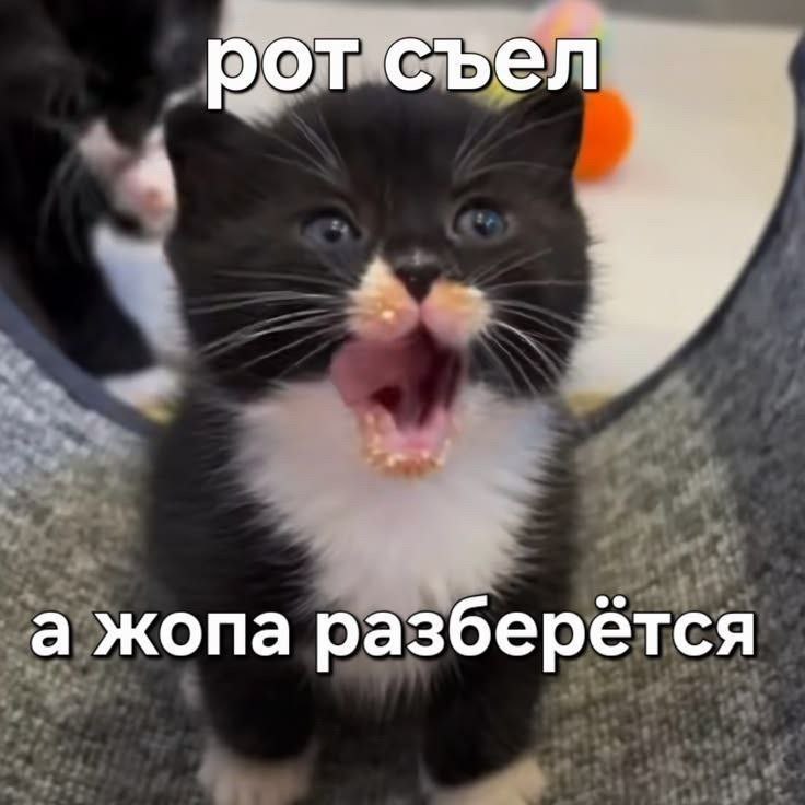 �������� �������� � ����� �� ���� (32 ����)