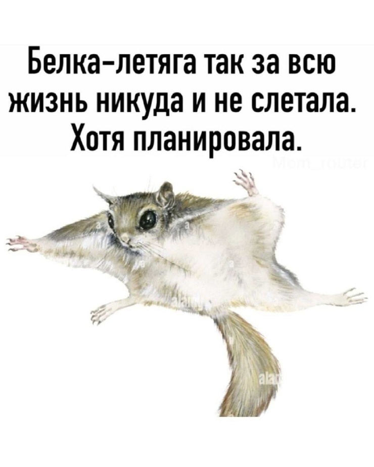 �������� �������� � ����� �� ���� (32 ����)