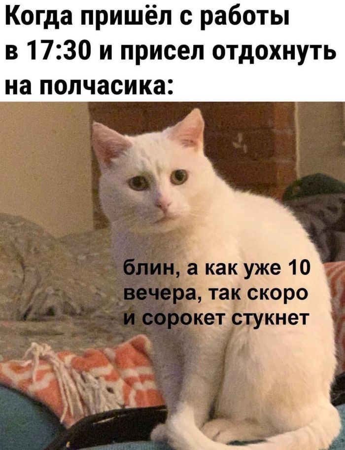 ������� ���� � ������� ��� ���������� (35 ����)