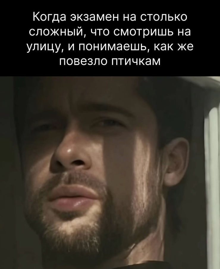 ������� ���� � ������� ��� ���������� (35 ����)