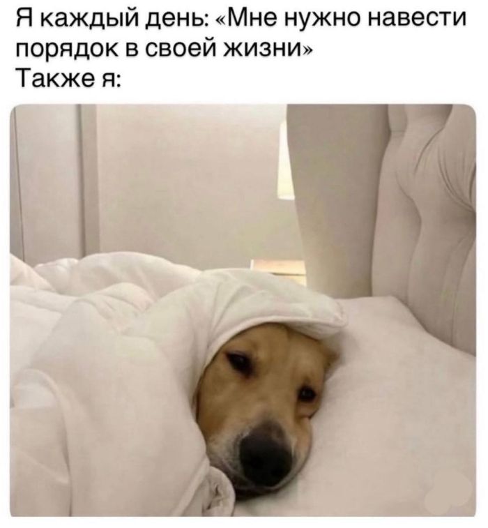 ������� ���� � ������� ��� ���������� (35 ����)