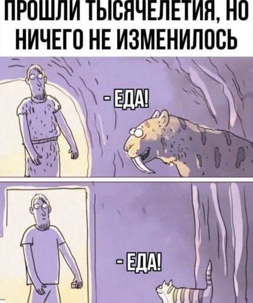 ������� ���� � ������� ��� ���������� (35 ����)