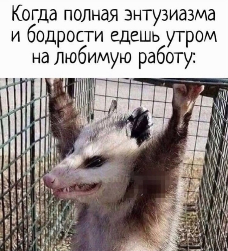 ������� ���� � ������� ��� ���������� (35 ����)