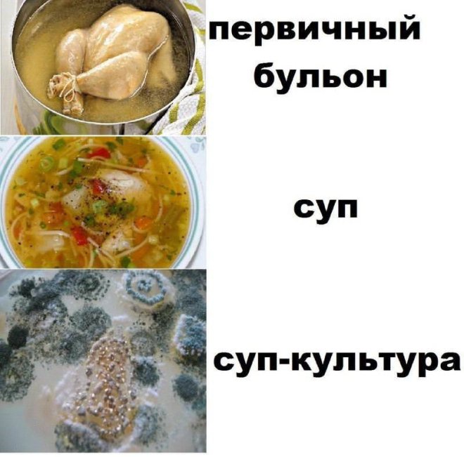 �������� ����� � �������� ��� ���������� (26 ����)