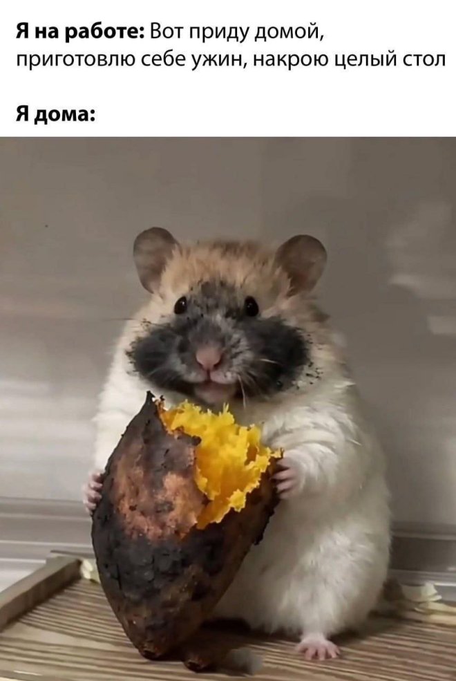 �������� ����� � �������� ��� ���������� (26 ����)