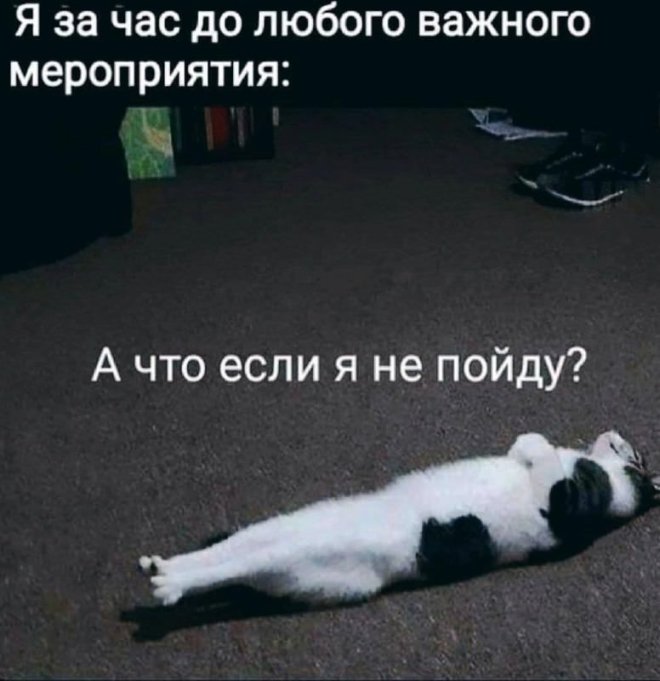�������� ����� � �������� ��� ���������� (26 ����)