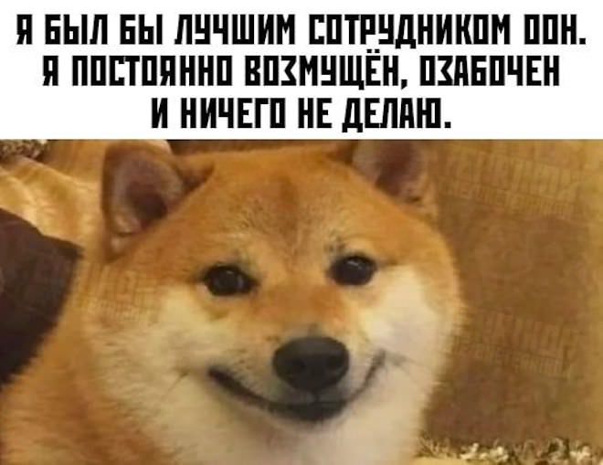 �������� ����� � �������� ��� ���������� (26 ����)