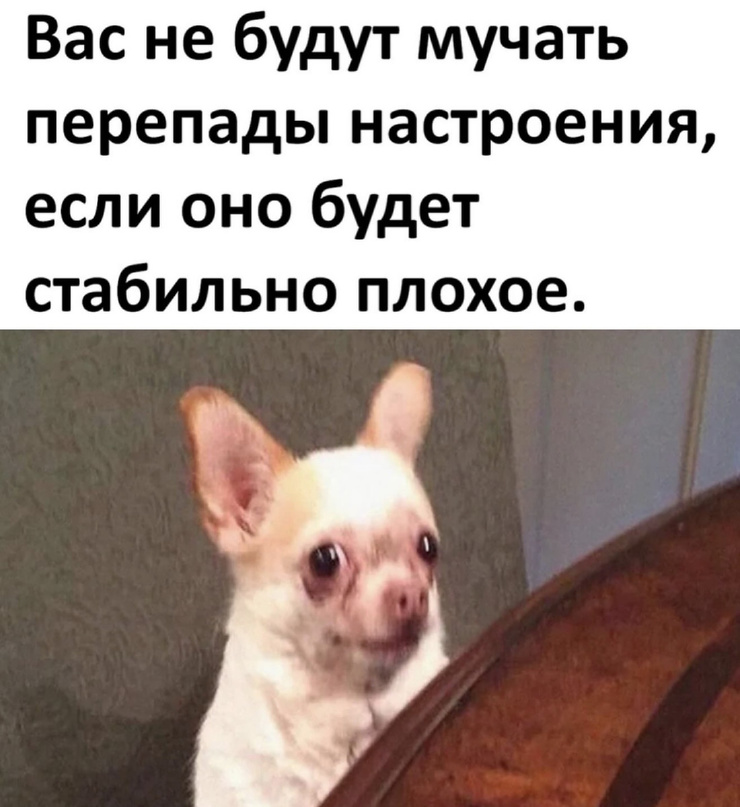 ���������! ������ ���� � ������� �� ���� (22 ����)