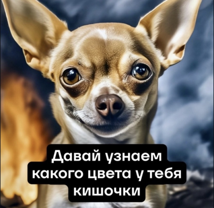 ���������! ������ ���� � ������� �� ���� (22 ����)