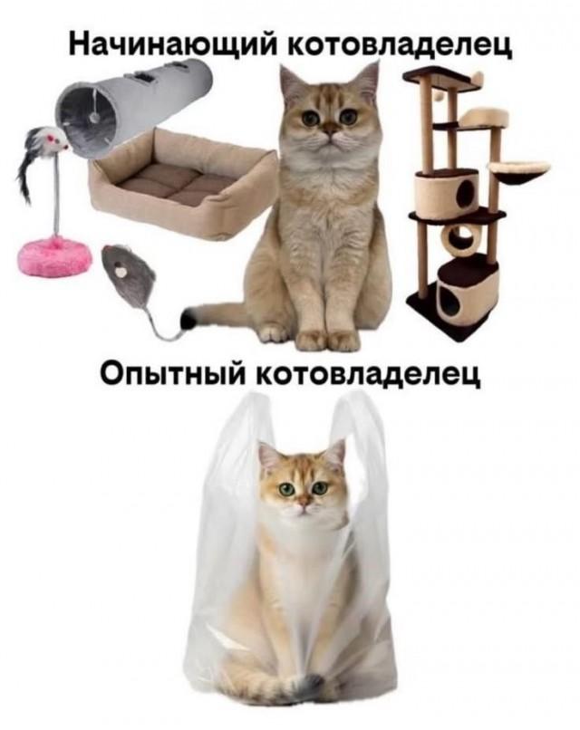 ����� ������� ��� ���������� (25 ����)